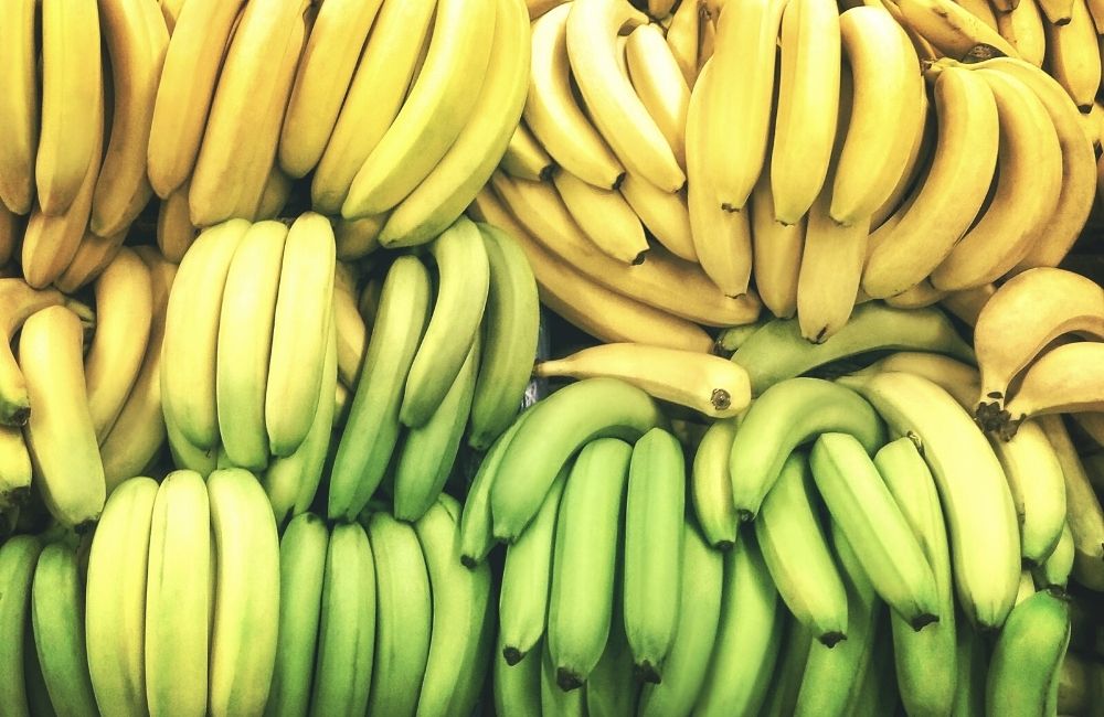 【香蕉營養分析】青香蕉最啱減肥梅花點香蕉有另類好處！生熟香蕉營養大剖析