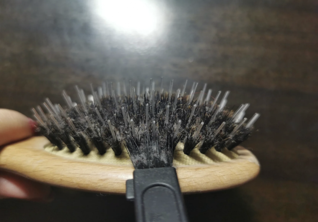 梳子清潔-頭髮-梳子-膠梳-鬃毛梳-木梳