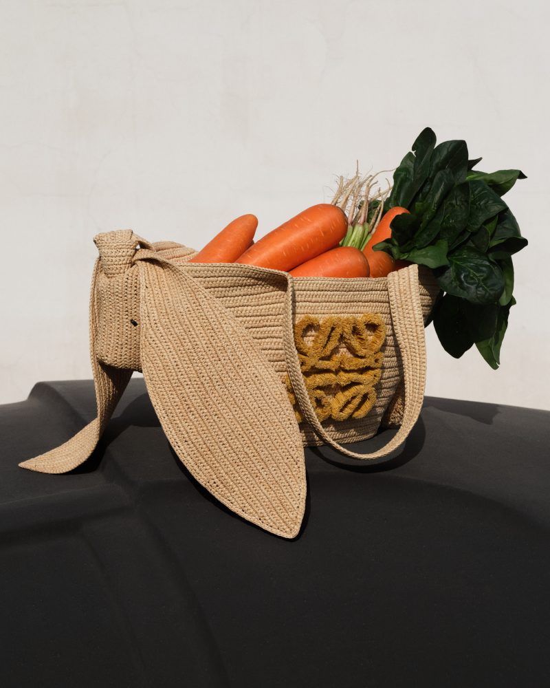 582309-582309-LOEWE_SS23_LNY_HERO_STILLS_RGB_CROPPED_4X5_3-800x1000.jpg