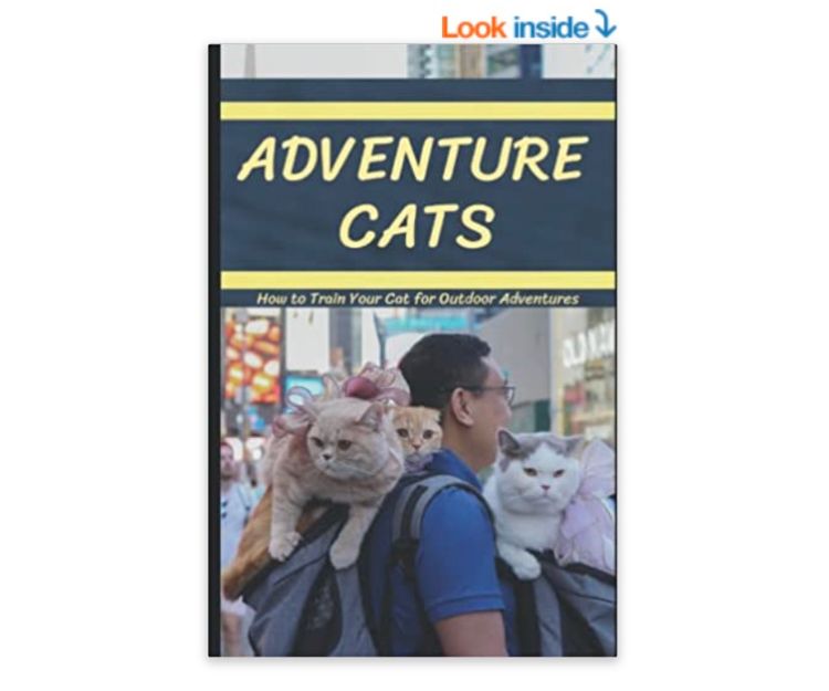 Dan 出版著作分享帶貓旅行心得。(圖片：Amazon.com)