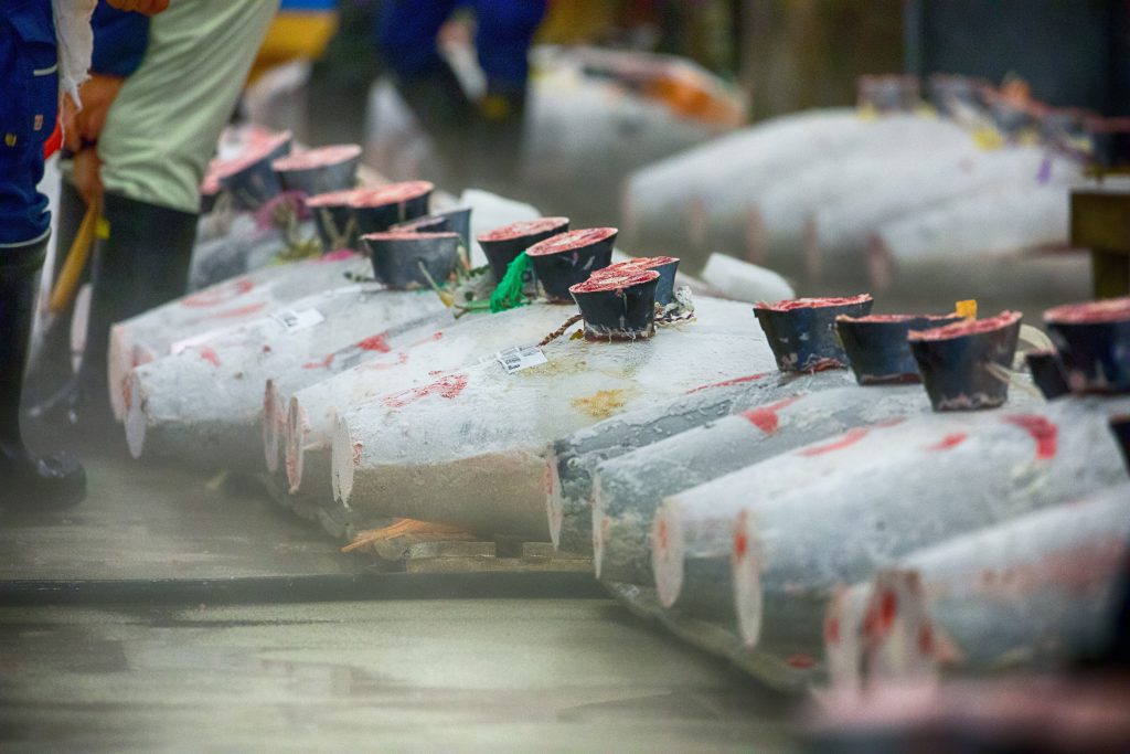 來自日本東京築地市場的吞拿魚，亦在禁售名單之中。