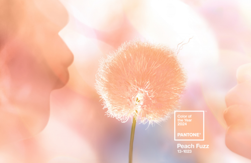 Pantone2024-年度代表色-PeachFuzz-柔和桃
