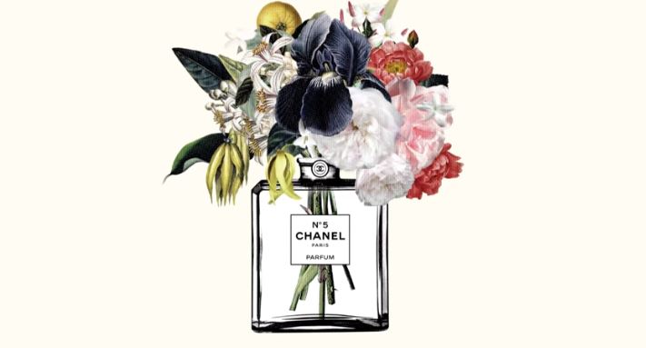 Chanel N5 香水 故事 shebrands