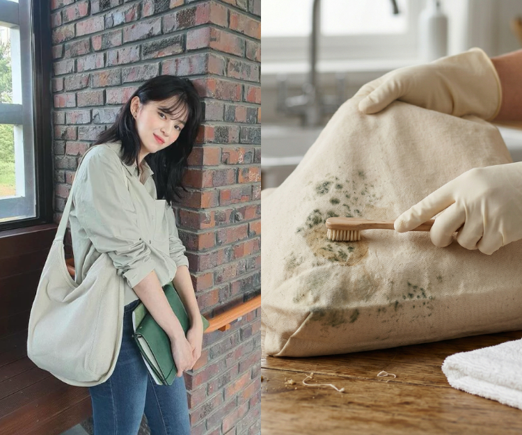 帆布手袋發霉、染色、變形怎麼辦？教你3招急救+5大清洗步驟 染色去漬1妙招！