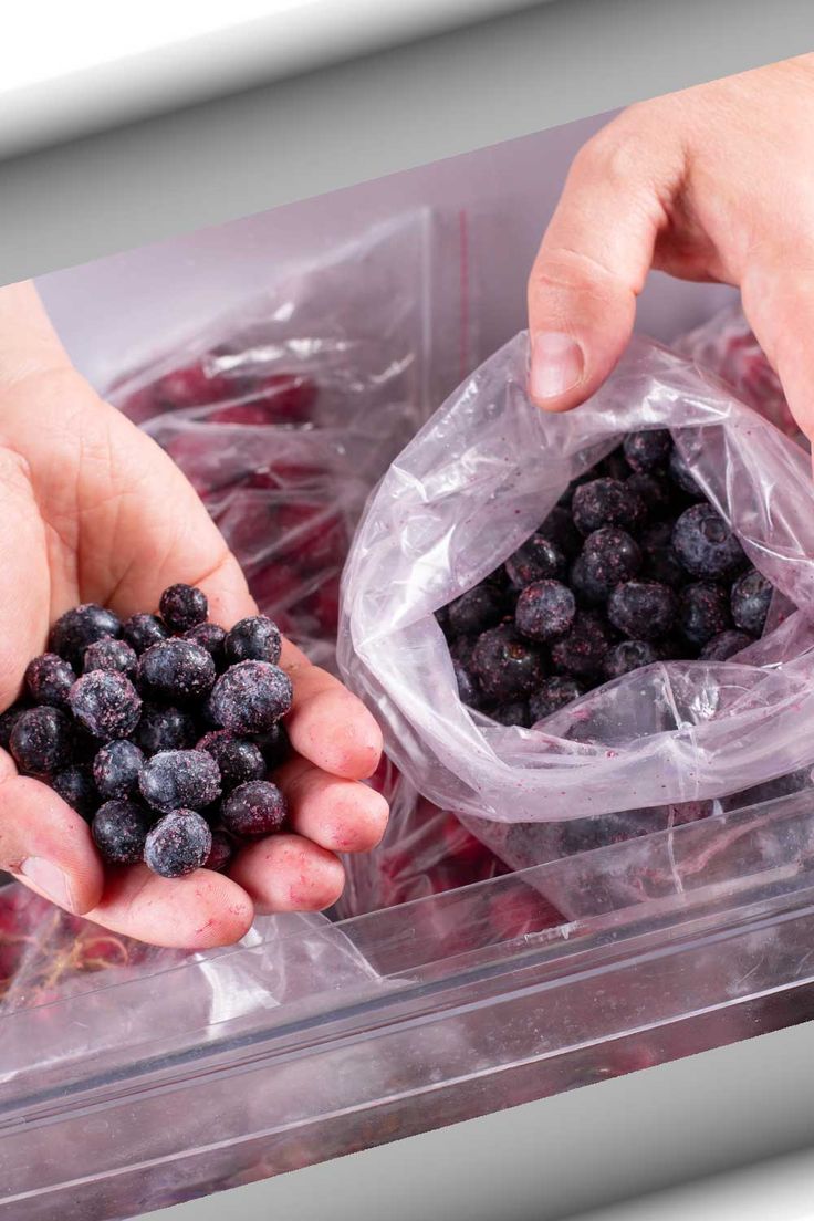 急凍藍莓-新鮮藍莓-保養-護膚