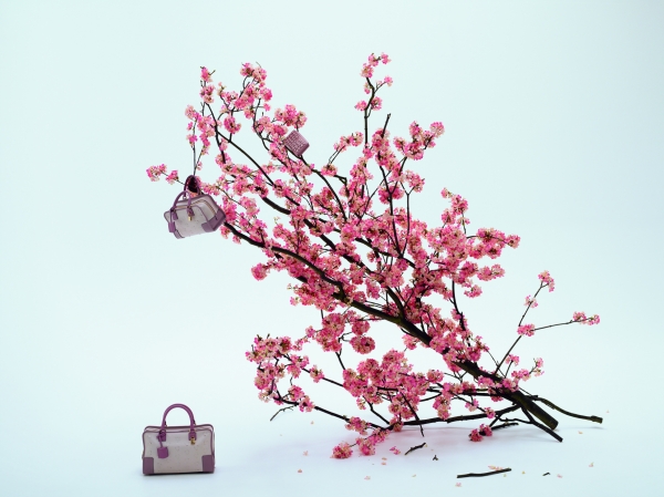 LOEWE 花見美學