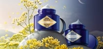 L’OCCITANE全新蠟菊珍貴修護系列