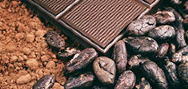 dark chocolate 抗氧化同時致肥