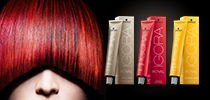 投票送你 Schwarzkopf Professional  染髮服務