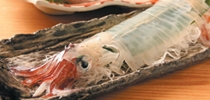 日本直送墨魚　游到銅鑼灣