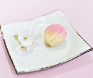 和菓子工作坊   <br>   浪漫回味櫻花季