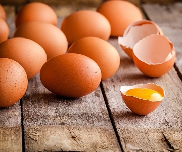 可否每日食一隻雞蛋？