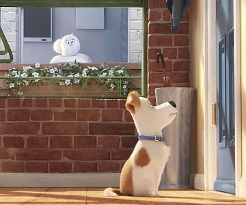 【Shemom 送飛】終於等到《Pet Pet當家》喇~
