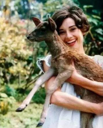 【真‧金句】Audrey Hepburn 連遺言都美麗 金句字字珠璣