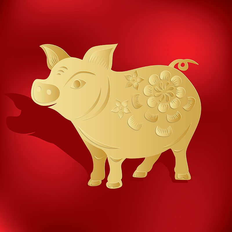 玄在起跑線 2018 狗年生肖運程