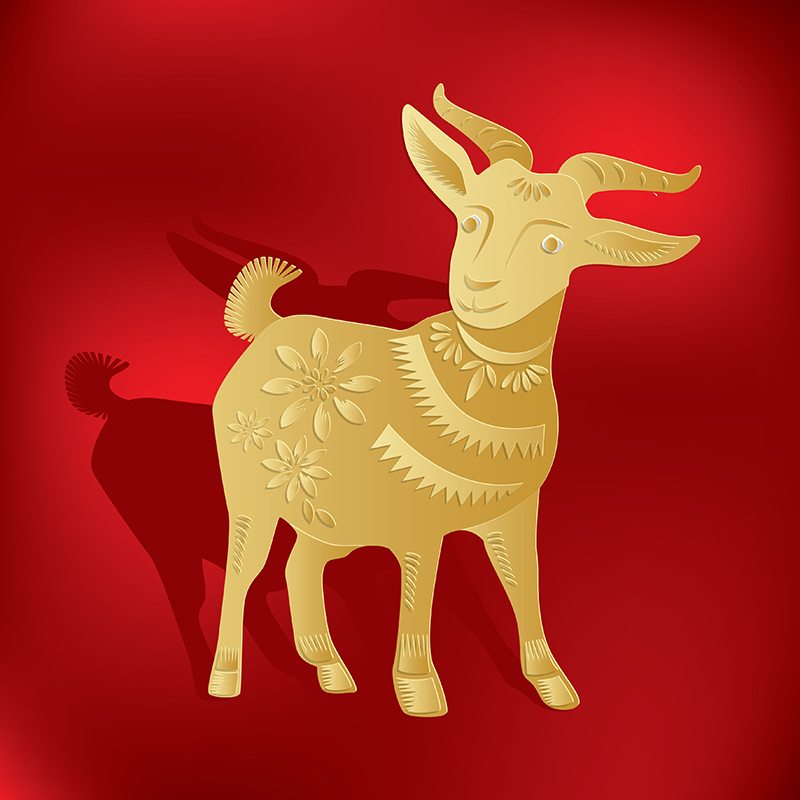 玄在起跑線 2018 狗年生肖運程