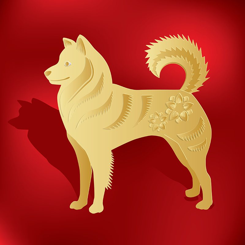 玄在起跑線 2018 狗年生肖運程