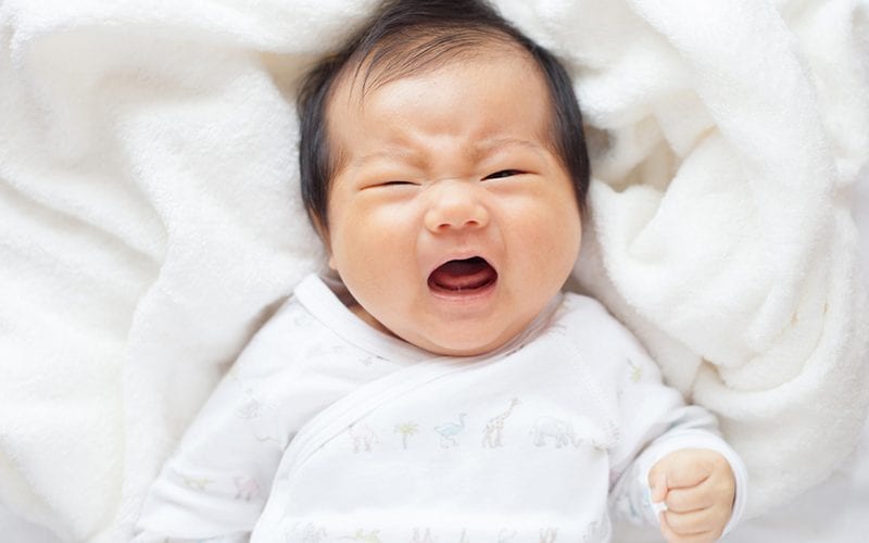仁濟醫院專欄｜如何與不同氣質的孩子相處?