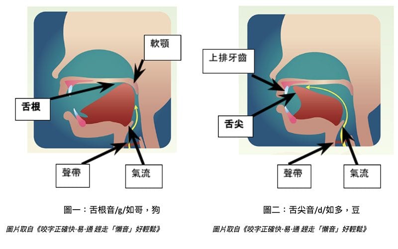 「BB音」? 「錯音」? 教你點樣分！