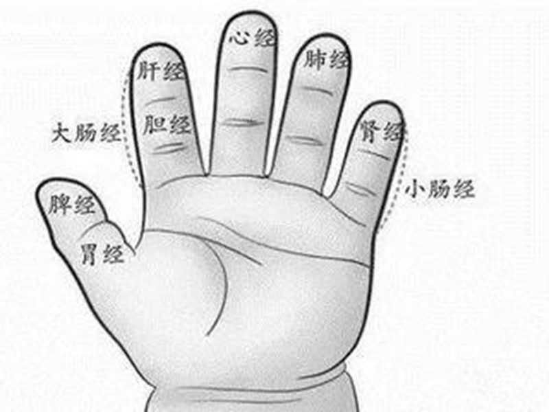 仁濟醫院劉維瑋註冊中醫師談改善小孩胃口