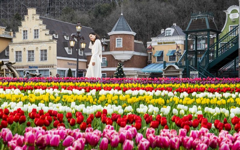 韓國愛寶樂園everland4月鬱金香季限時綻放