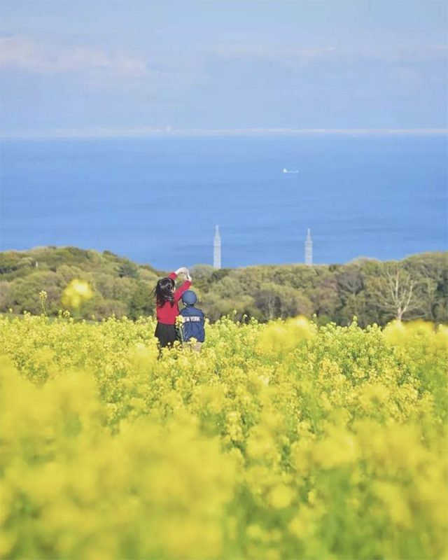 爸爸偷拍女兒三年網友驚嘆畫面如宮崎駿動畫