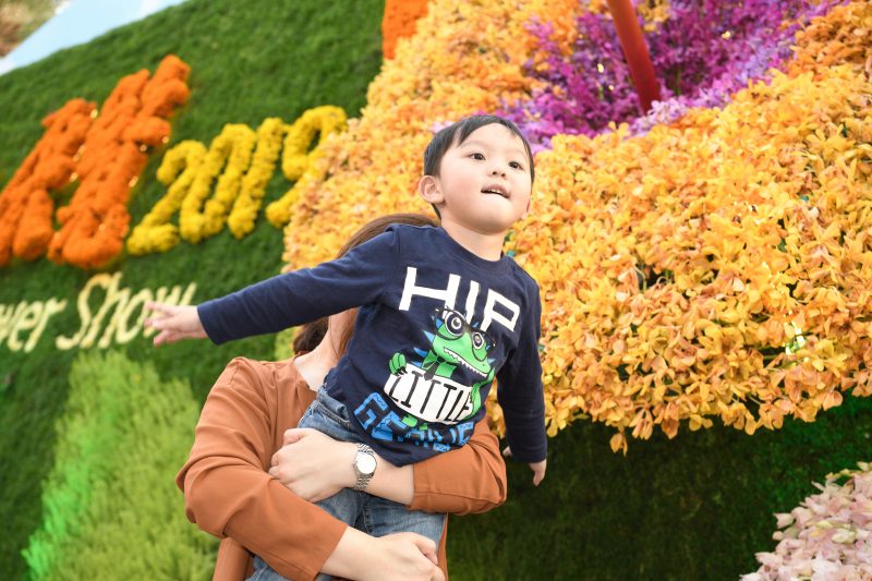 「香港花展2019」4大必影打卡位