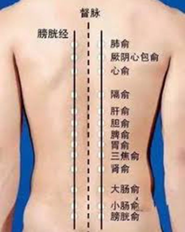 仁濟醫院劉維瑋註冊中醫師談改善小孩胃口