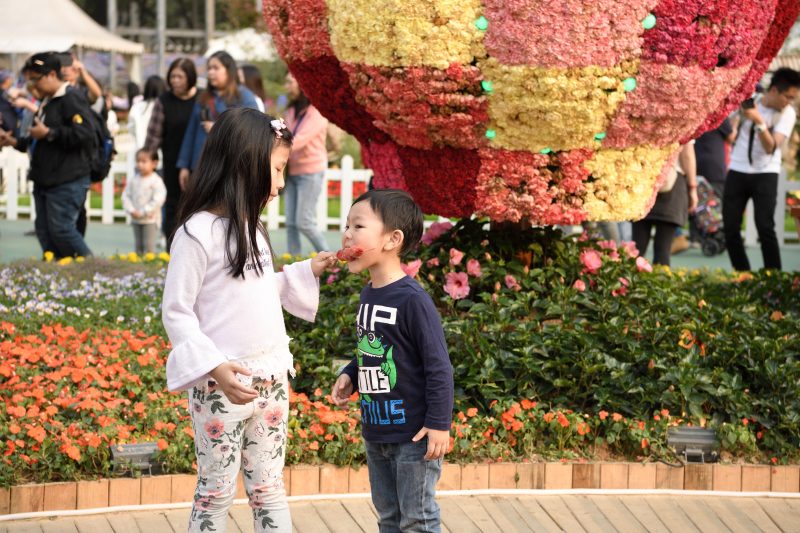 「香港花展2019」4大必影打卡位