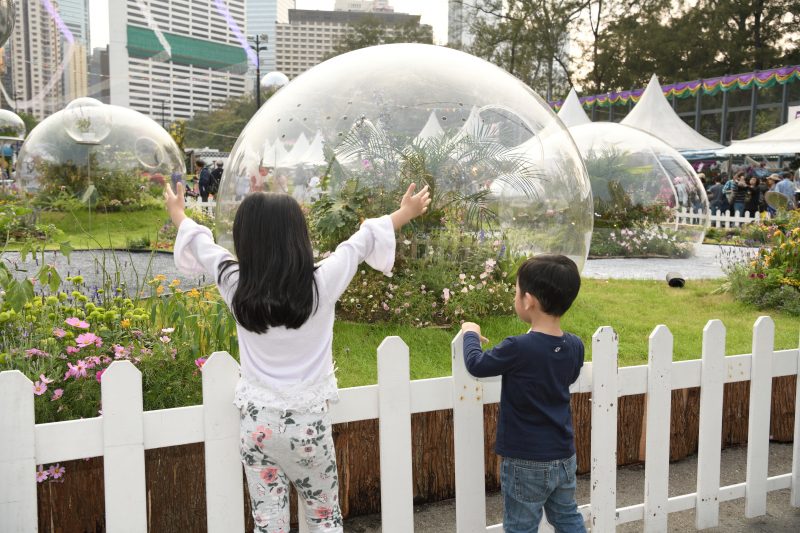 「香港花展2019」4大必影打卡位