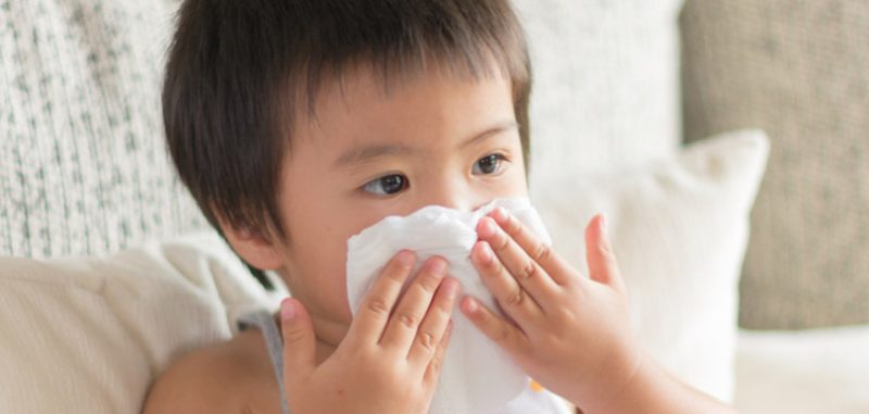 4種簡單方法預防寶寶鼻敏感