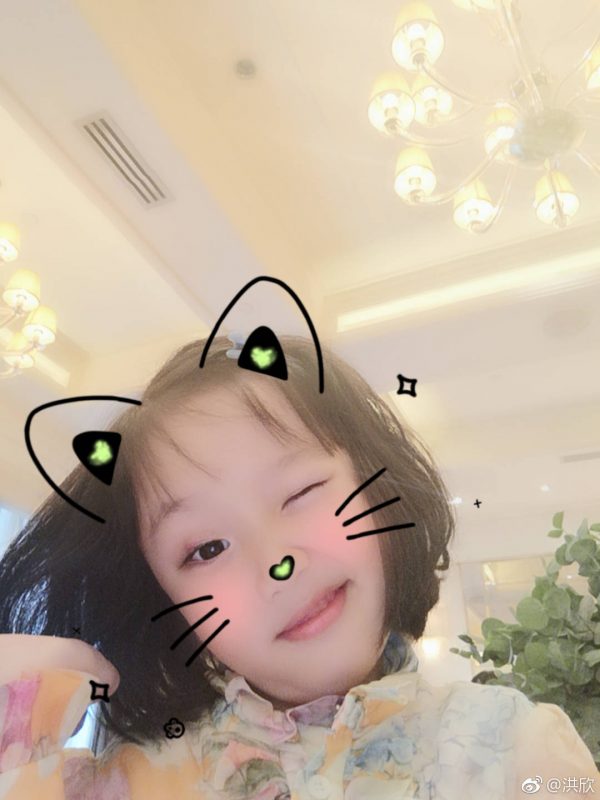 洪欣張丹峰鬧婚姻危機其實係為仔仔入行鋪路
