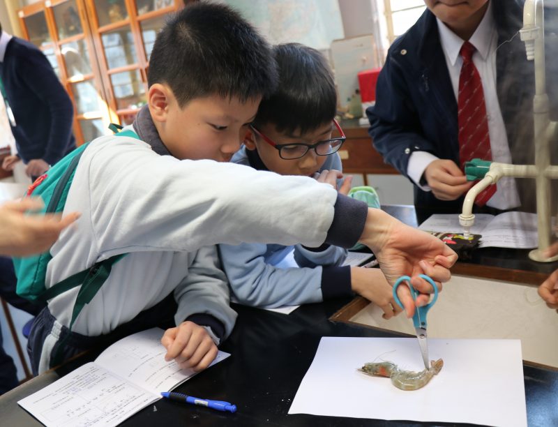 生涯規劃 預演未來 - 仁濟醫院羅陳楚思小學 陳嘉碧校長
