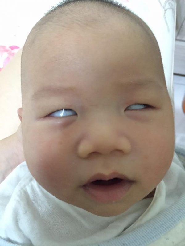 爸爸視覺vs媽媽視覺