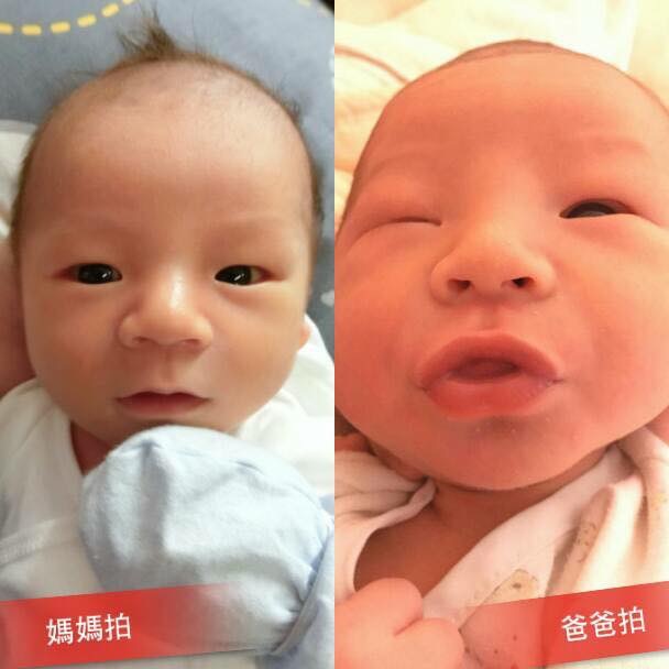 爸爸視覺vs媽媽視覺