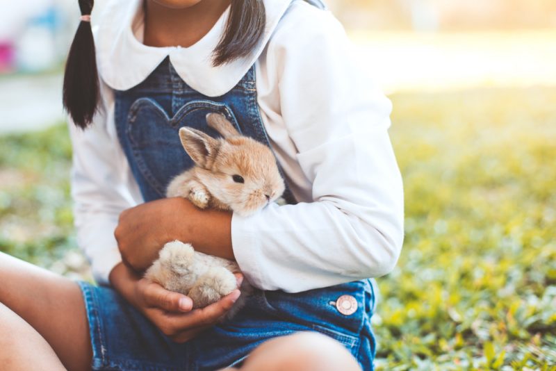 當幼兒與動物遇上催淚煙的求生備忘
