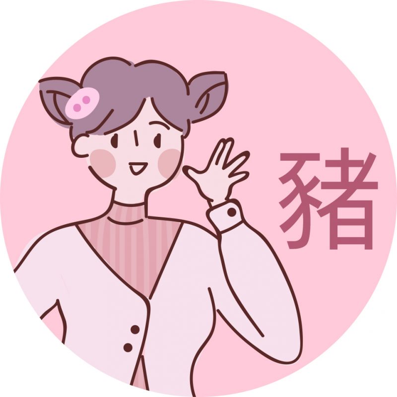 豬
