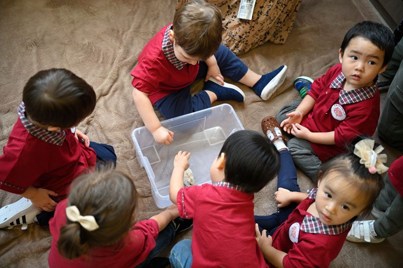 Fairchild Kindergarten楓薈幼稚園