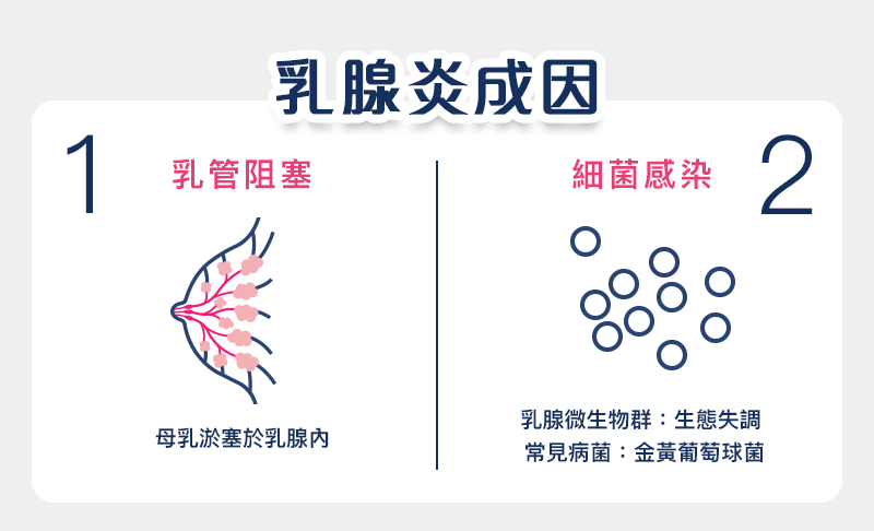 乳腺炎成因