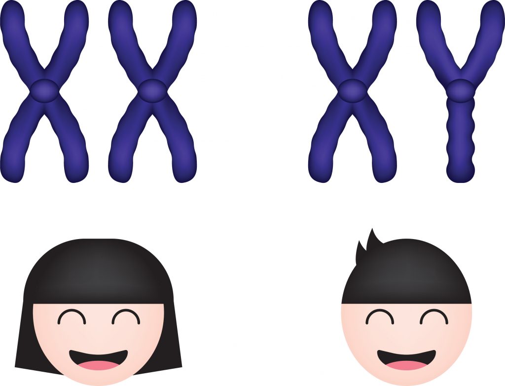 生男定生女？中醫能控制胎兒性別嗎？