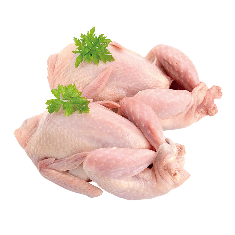 急凍食材變佳餚！星級主廚YouTube教學