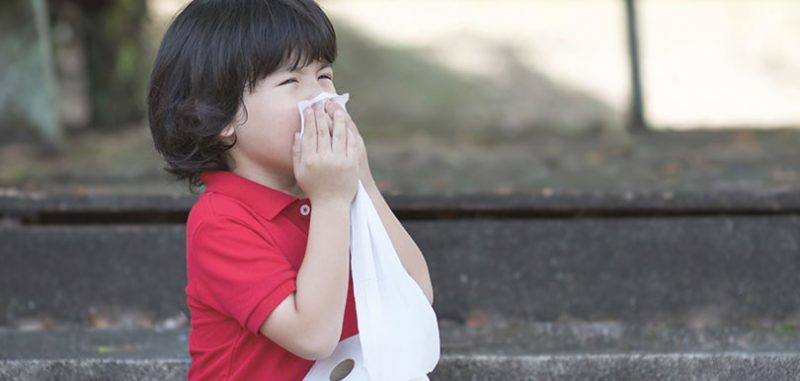 林冠傑醫師：春夏轉季保健良方