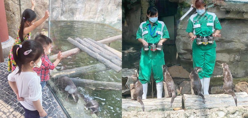 海洋公園的探險之旅！ 在大自然中學習