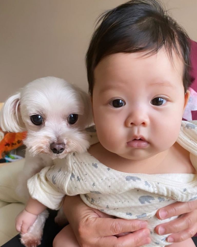 【愛護動物】黃心美任由姨甥女糟質毛孩！BB可以和毛孩和睦共處嗎？