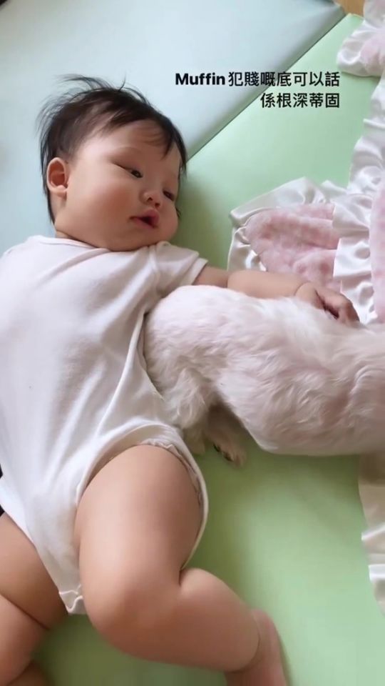 【愛護動物】黃心美任由姨甥女糟質毛孩！BB可以和毛孩和睦共處嗎？