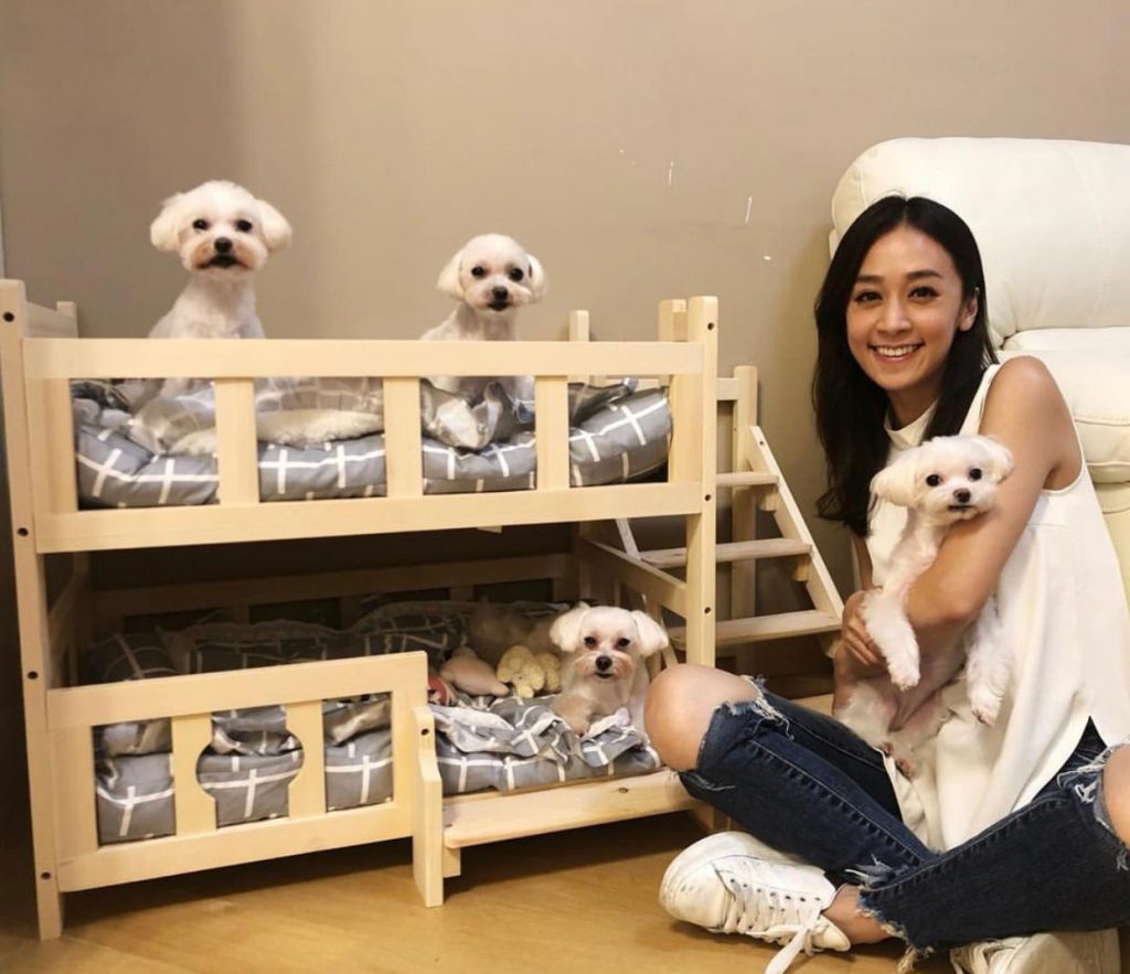 【愛護動物】黃心美任由姨甥女糟質毛孩！BB可以和毛孩和睦共處嗎？