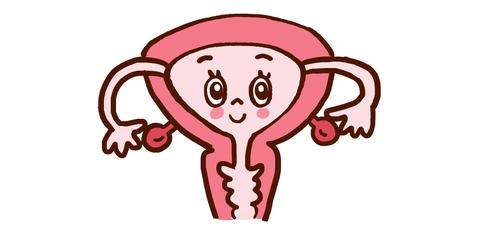 子宮 萬全堂