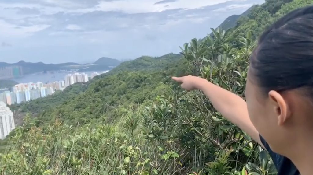 小馬橋山