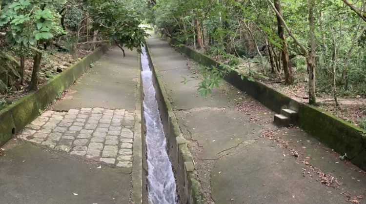 柏架山道自然徑