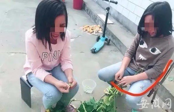李怡家中有一位年齡相約的姐姐。